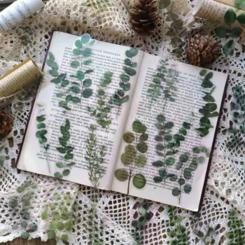 40 adet Doğal Yeşil Okaliptüs Yaprakları Meyve Siyah Beyaz Bitki Çiçek şeffaf çıkartma Scrapbooking DIY Etiket Hediye Dekorasyon