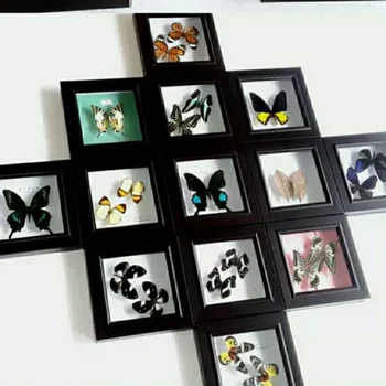 Gerçek Kelebek Numune Fotoğraf Çerçevesi doğum günü hediyesi Küçük Süsler El Sanatları Ev Dekorasyon Heykel Oturma Odası Dekorasyon
